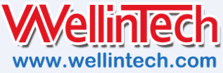 wellintech Logo
