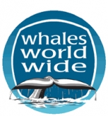 whales Logo