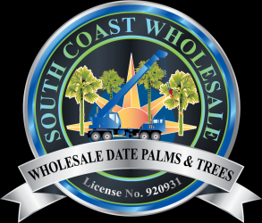 wholesale_date_palms Logo