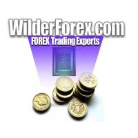 wilderforex Logo