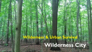 wildernesscity Logo