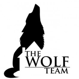 wolfteam Logo