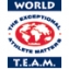 worldteamsports Logo