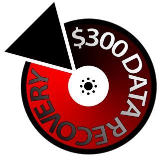 300 Dollar Data Recovery Logo