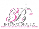 3BInternational Logo