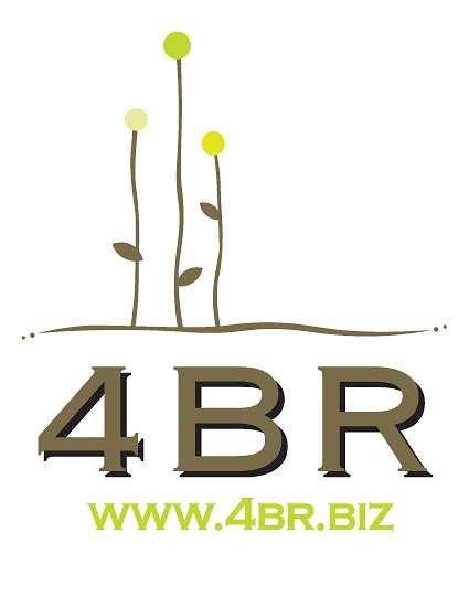 4BR - Building Better Business By Referral Logo