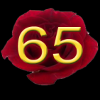65RoseWorld Logo