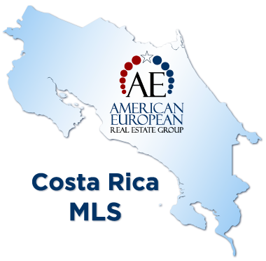 American European Real Estate Group Logo