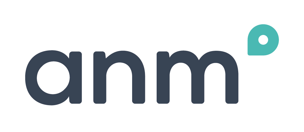 ANMConsulting Logo