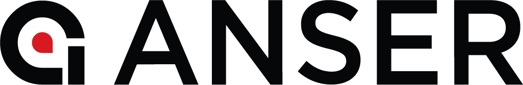 ANSER CODING INC. Logo