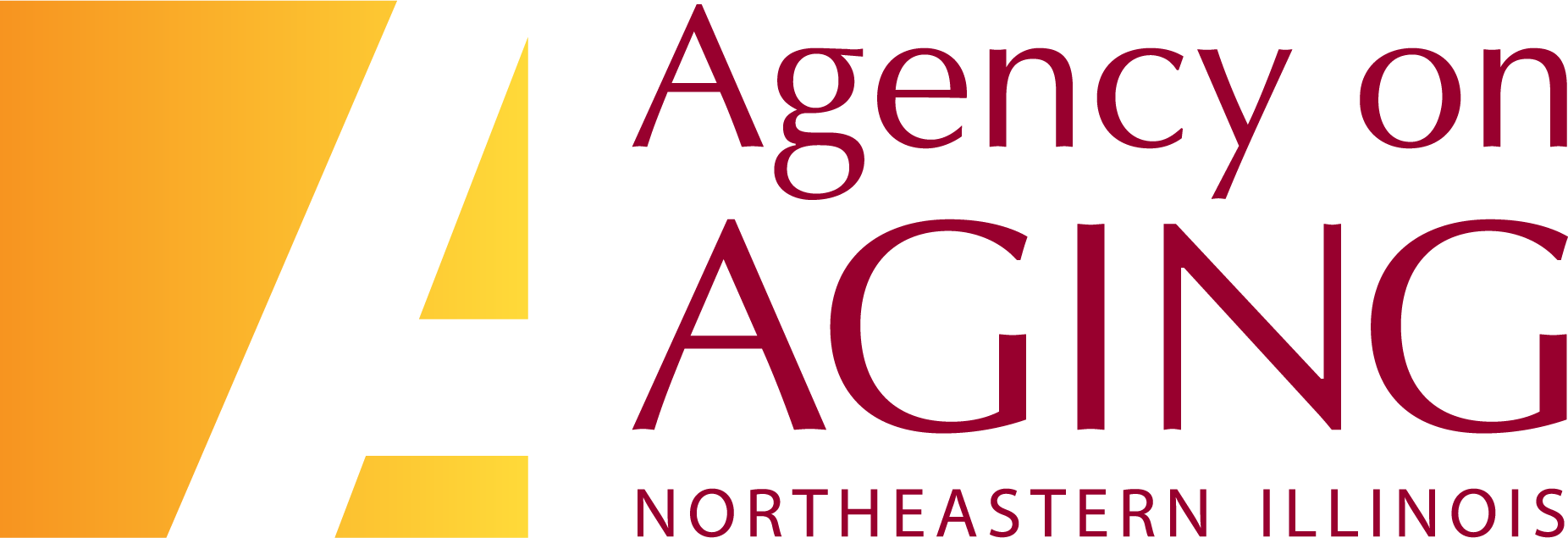 Agency on Aging Northeastern Illinois Logo