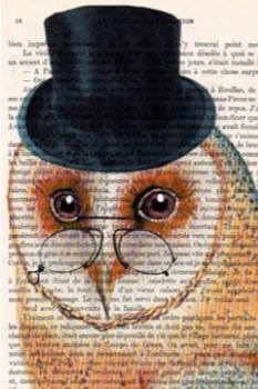 An Owl's Bazaar Logo