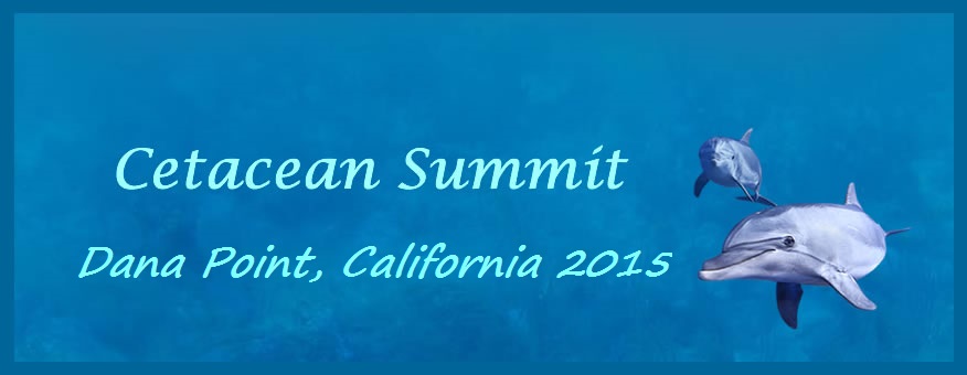 Cetacean Summit Logo