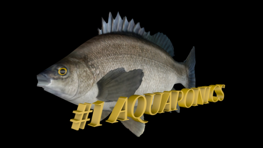 Aquaponics Logo