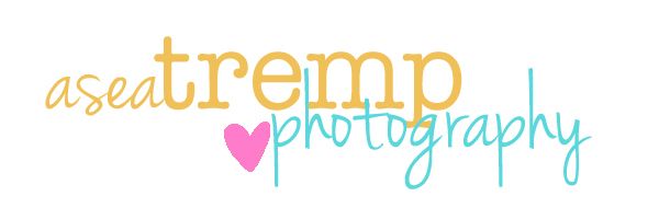 Asea Tremp Photography Logo