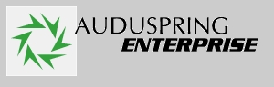 AuduspringEnterprise Logo