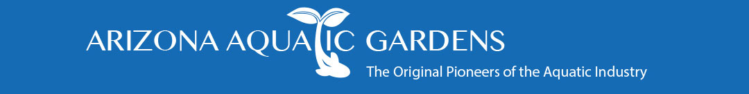 Arizona Aquatic Gardens Logo