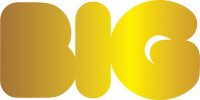 BIG organization Logo