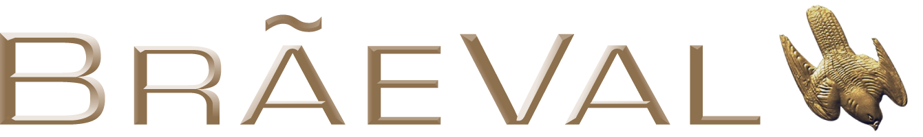 B R A E V A  L Logo