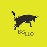 BS LLC Logo