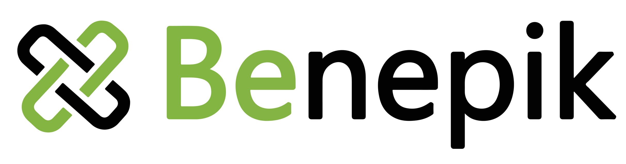 Benepik Technology Logo