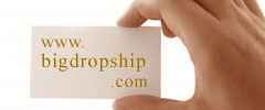 BigDropShip Logo