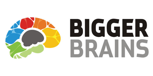 BiggerBrains Logo