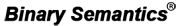 Binary Semantics Ltd Logo