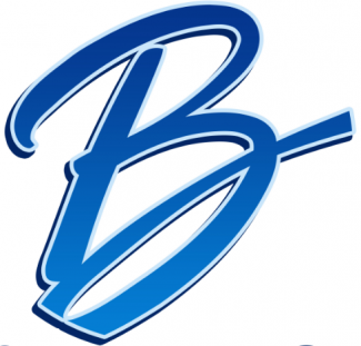 Bismarkgroup Logo