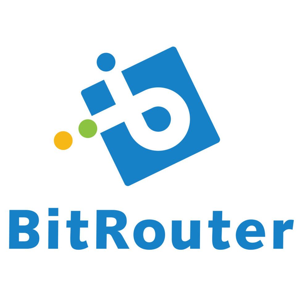 BitRouter Logo