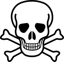 BitToxic Logo