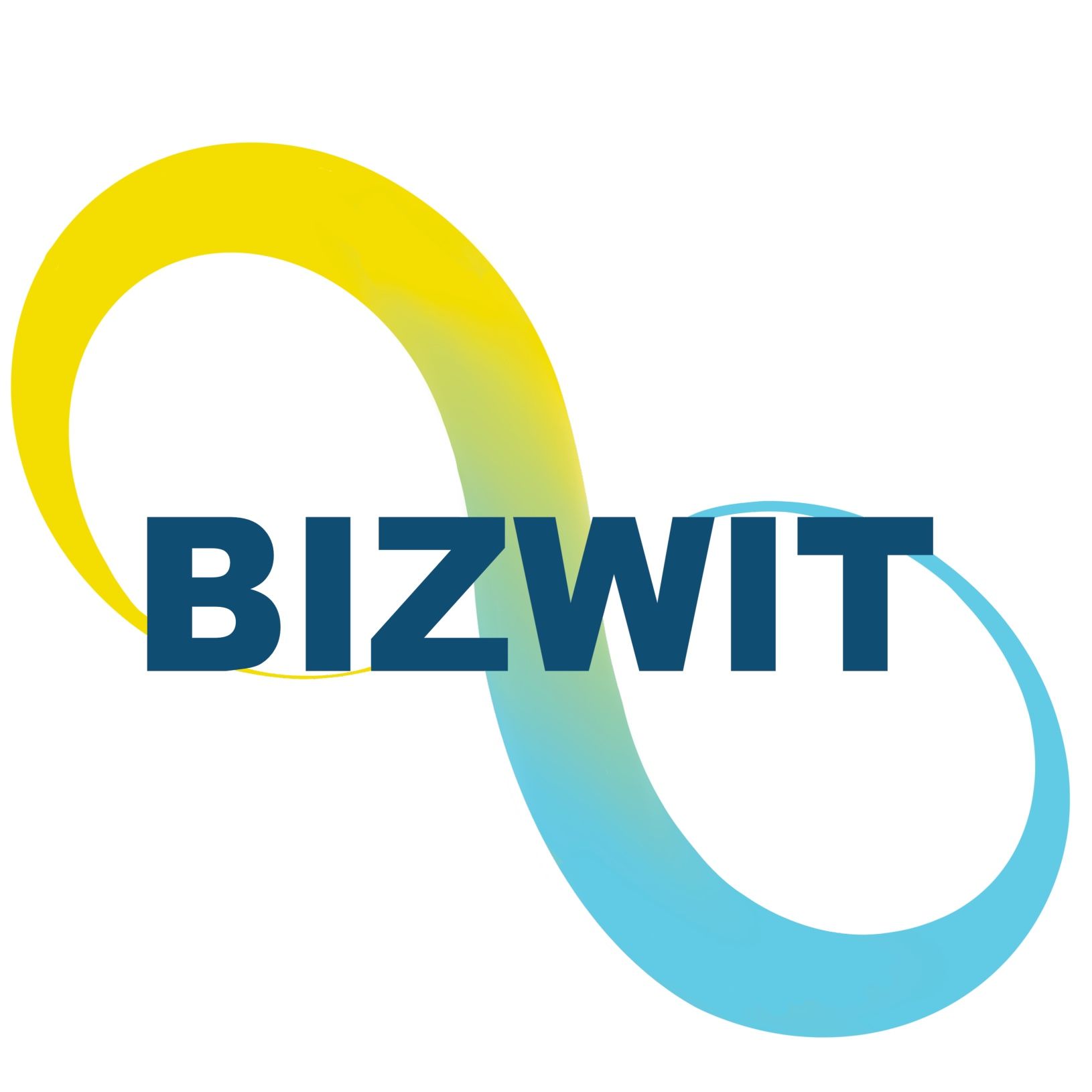 Bizwit Research & Consulting LLP Logo