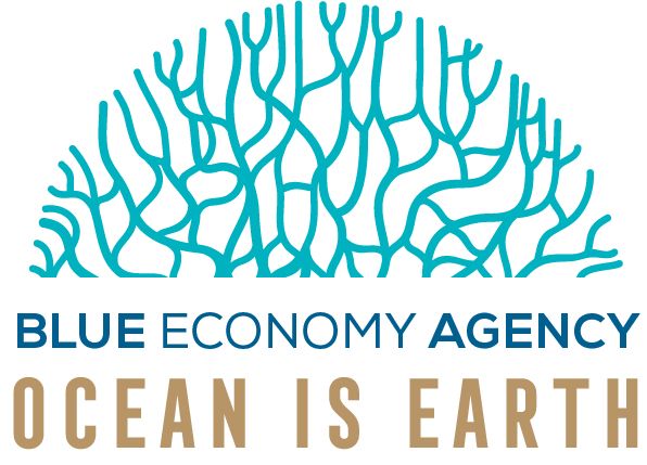 BlueEconomyAgency Logo
