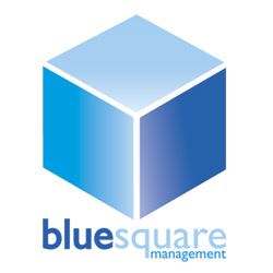 Blue Square Management Logo