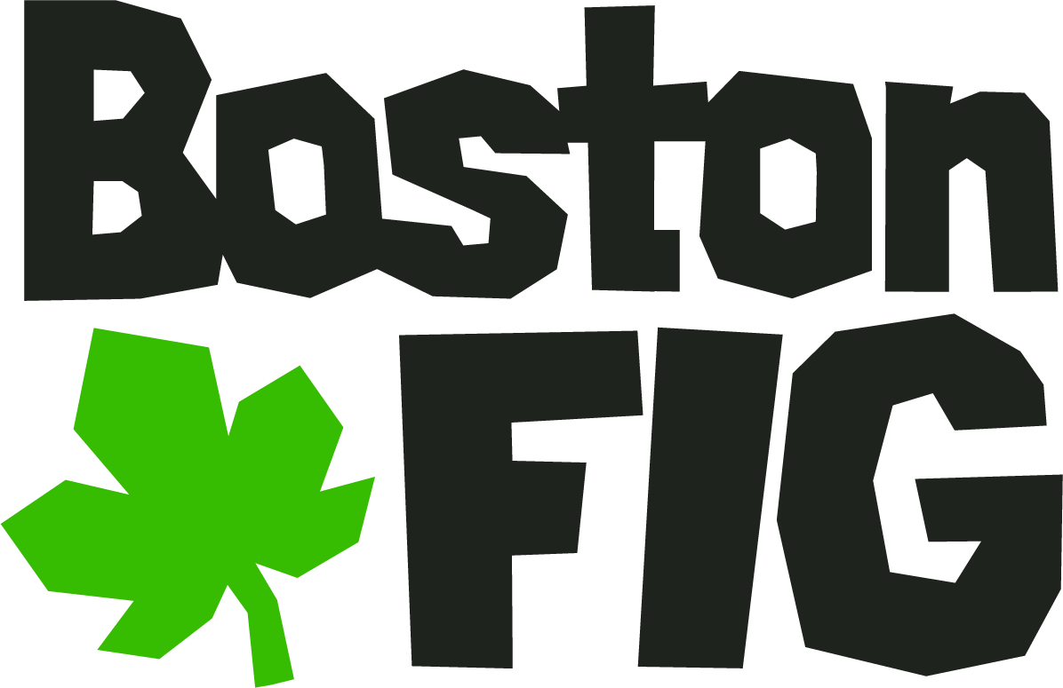 BostonFIG Logo