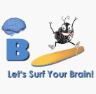 BrainSourcer Logo