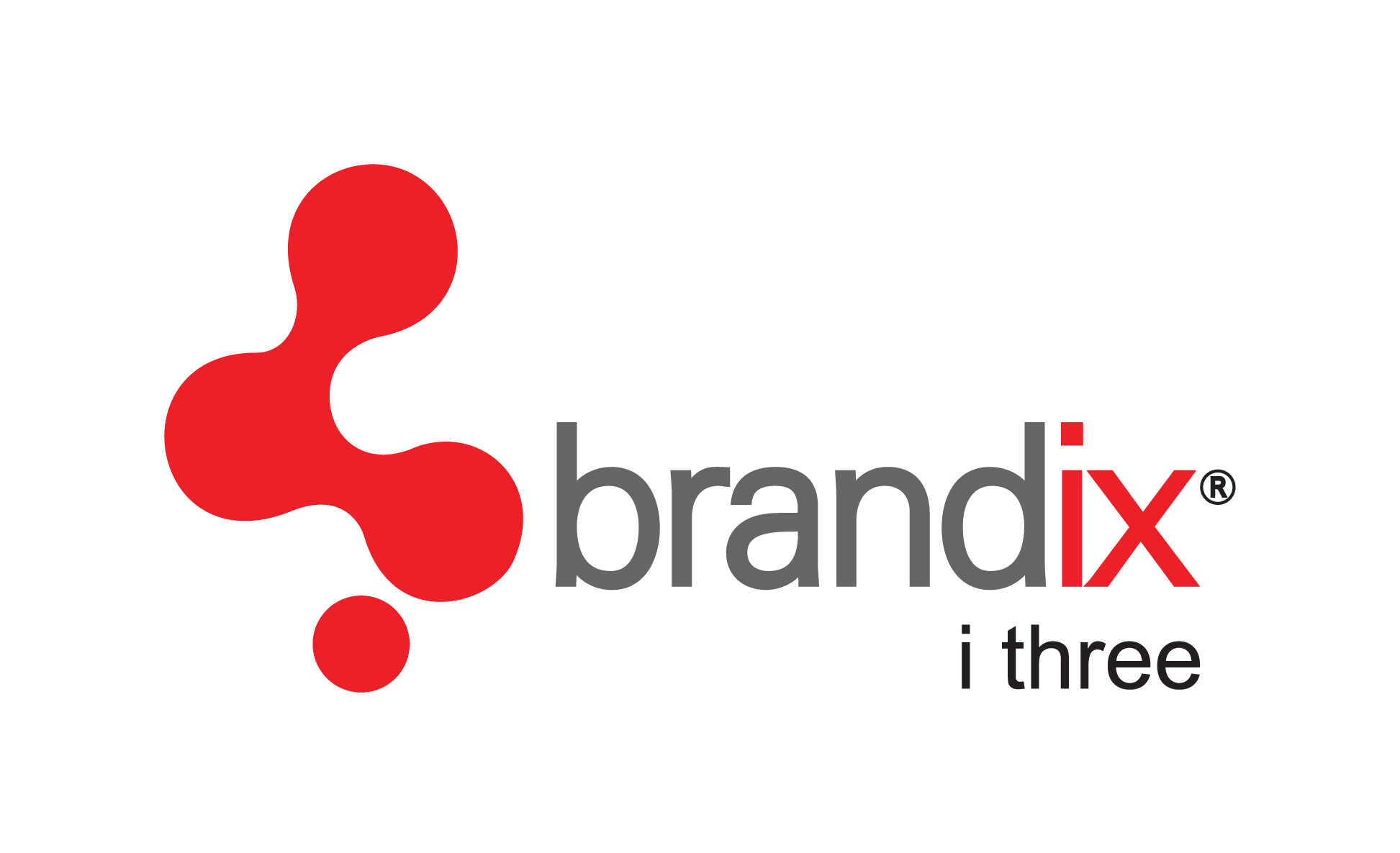 Brandixi3 Logo