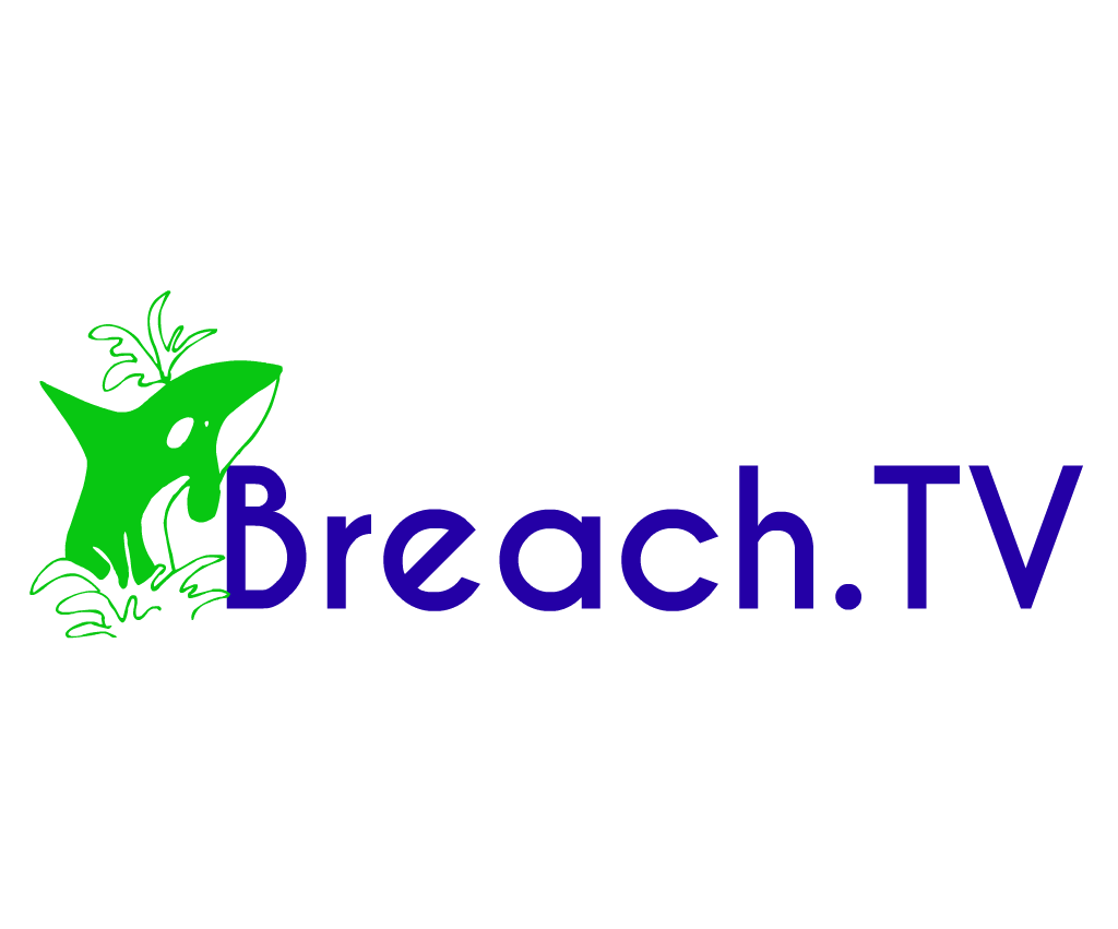 Breach TV Logo