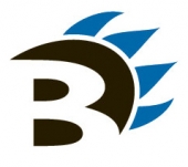 Brunette_Industries Logo