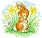 Bunny Bumpkin Maternity, Nursing & Babywear Logo