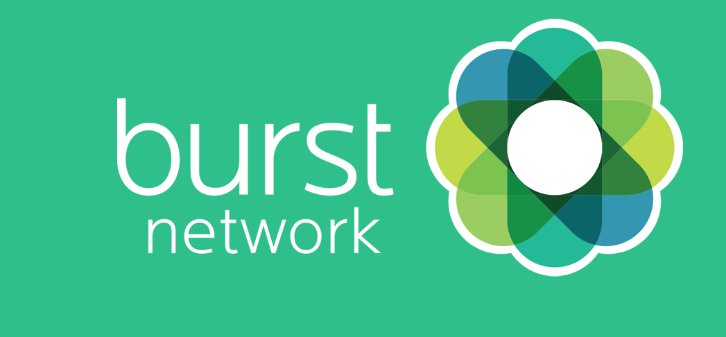 Burstnetwork Logo