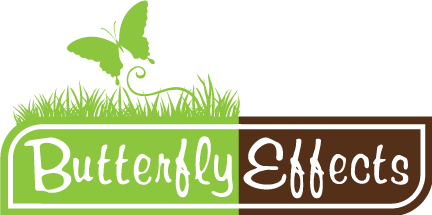 ButterflyEffects Logo