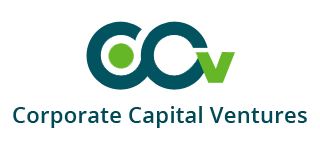 CCVIndia – Corporate Capital Ventures Pvt. Ltd. Logo