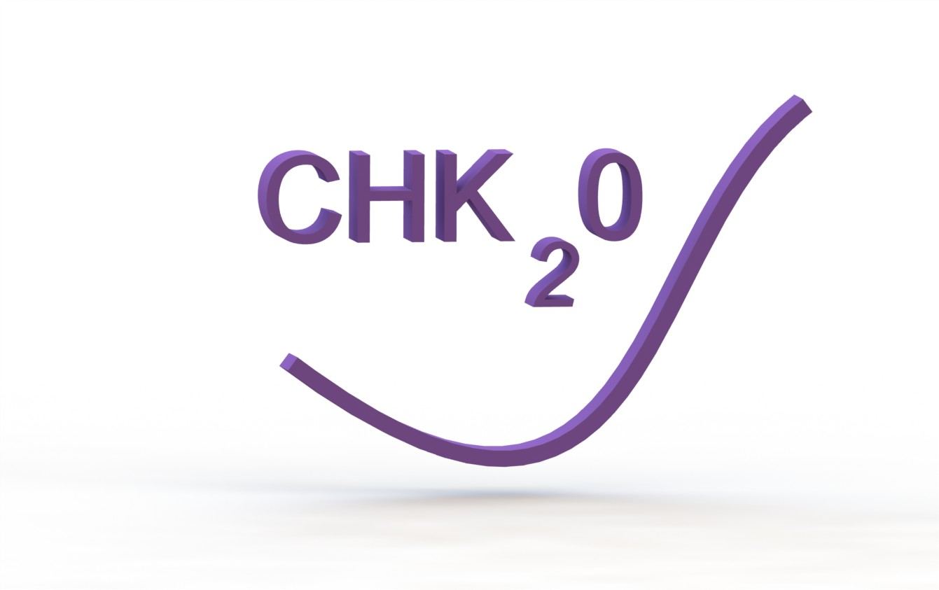 CHK2O- Logo