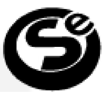 CSE2013 Logo