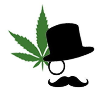 CannabisDomainFinder Logo