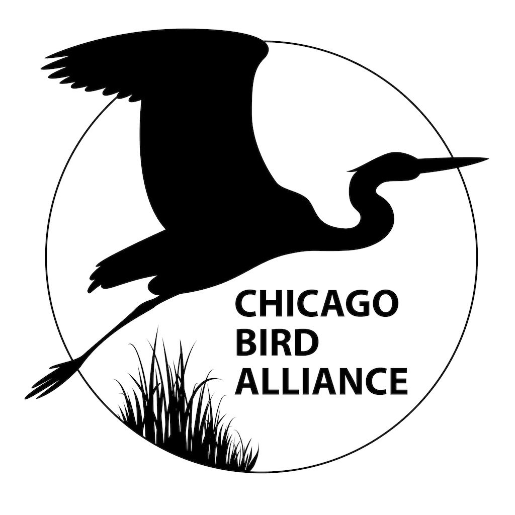 Chicago Bird Alliance Logo