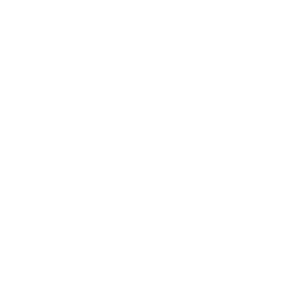 Chromatic Visuals Logo