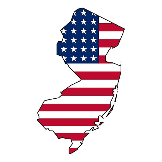 Citizens for NJ Election Integrity Logo