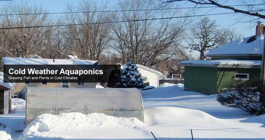 Cold Weather Aquaponics Logo
